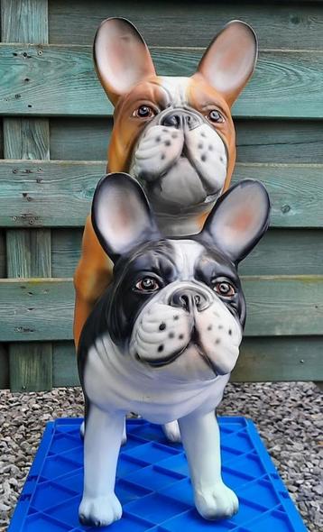 Franse bulldog´s,stoute honden,foei dogs voor in&out,, beschikbaar voor biedingen