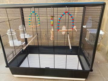 Vogelvolière met accessoires  beschikbaar voor biedingen