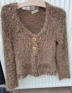 Bruin vestje van Junie Paris maat S, Kleding | Dames, Truien en Vesten, Bruin, Ophalen of Verzenden, Zo goed als nieuw, Junie Paris