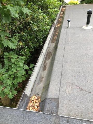 Couverture réparation et dépannage rapide  beschikbaar voor biedingen