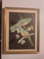 decoratie, Enlèvement, Comme neuf, Moins de 50 cm