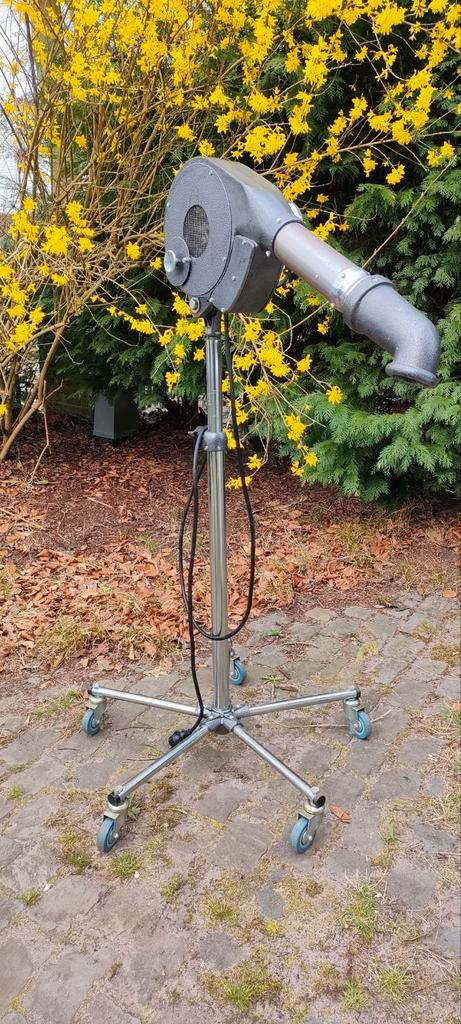 Professionele hondenhaardroger, Dieren en Toebehoren, Honden-accessoires, Zo goed als nieuw, Ophalen