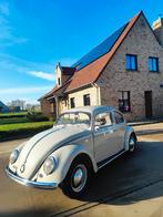 VW Coccinelle 1200, année 1957, en parfait état + garantie, Autos, Achat, Beige, Entreprise, Garantie prolongée