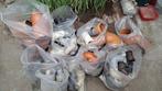 Lot PVC bochten afvoer allerlei, Doe-het-zelf en Bouw, Ophalen, Zo goed als nieuw, PVC, Afvoer