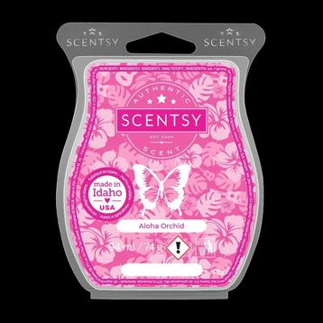 Scentsy waxbars op voorraad €6,50 per stuk 5+1 gratis €32,50 beschikbaar voor biedingen