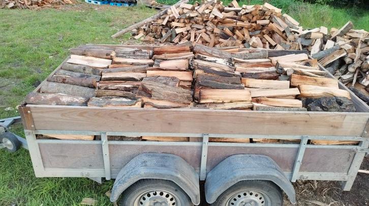 droog brandhout, Tuin en Terras, Brandhout, Ophalen