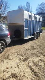 Grote ifor Williams trailer HB 610 XL, Dieren en Toebehoren, Ophalen, Gebruikt, Hout, 3-paards trailer