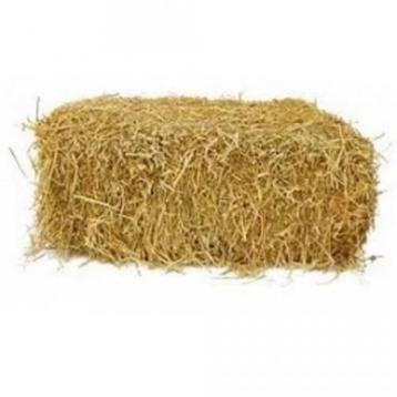 kleine balen of botten stro van tarwe heel goede kwalitieit beschikbaar voor biedingen