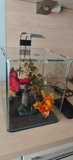 Aquarium 20 liter met toebehoren, Dieren en Toebehoren, Vissen | Aquaria en Toebehoren, Ophalen, Zo goed als nieuw, Leeg aquarium