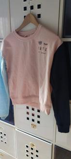 Roze sweater cute and sweet NIEUW 158/164, Ophalen of Verzenden, Nieuw, Meisje, Shirt of Longsleeve