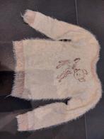 Pull someone maat 134, Gebruikt, Meisje, Trui of Vest, Ophalen of Verzenden