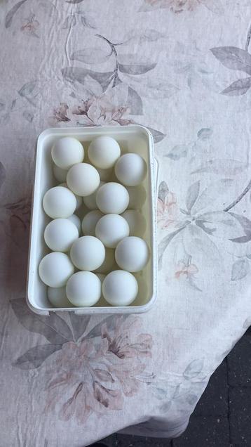 Bier pong balletjes, Enlèvement, Comme neuf