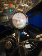 Moto triumph, Particulier
