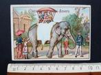 Chromo Chocolat Baron Anvers Antwerpen ZOO Olifant, Verzamelen, Foto's en Prenten, Ophalen of Verzenden, Zo goed als nieuw, Voor 1940