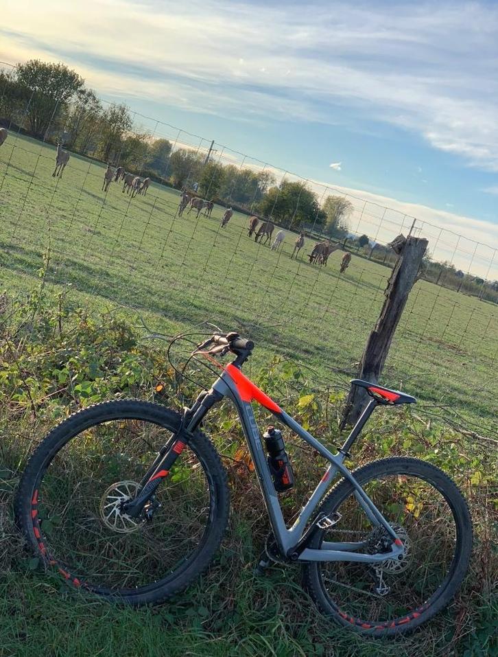 Cube Reaction GTC Eagle 17” carbon, Fietsen en Brommers, Fietsen | Mountainbikes en ATB, Zo goed als nieuw, Heren, Overige merken