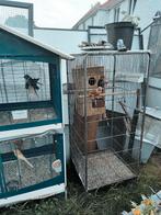 Vogel kooien voor buiten, Dieren en Toebehoren, Vogels | Hokken en Kooien, Ophalen, Gebruikt