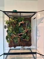 Terrarium 60x45x90, Enlèvement, Utilisé, Terrarium ou Paludarium