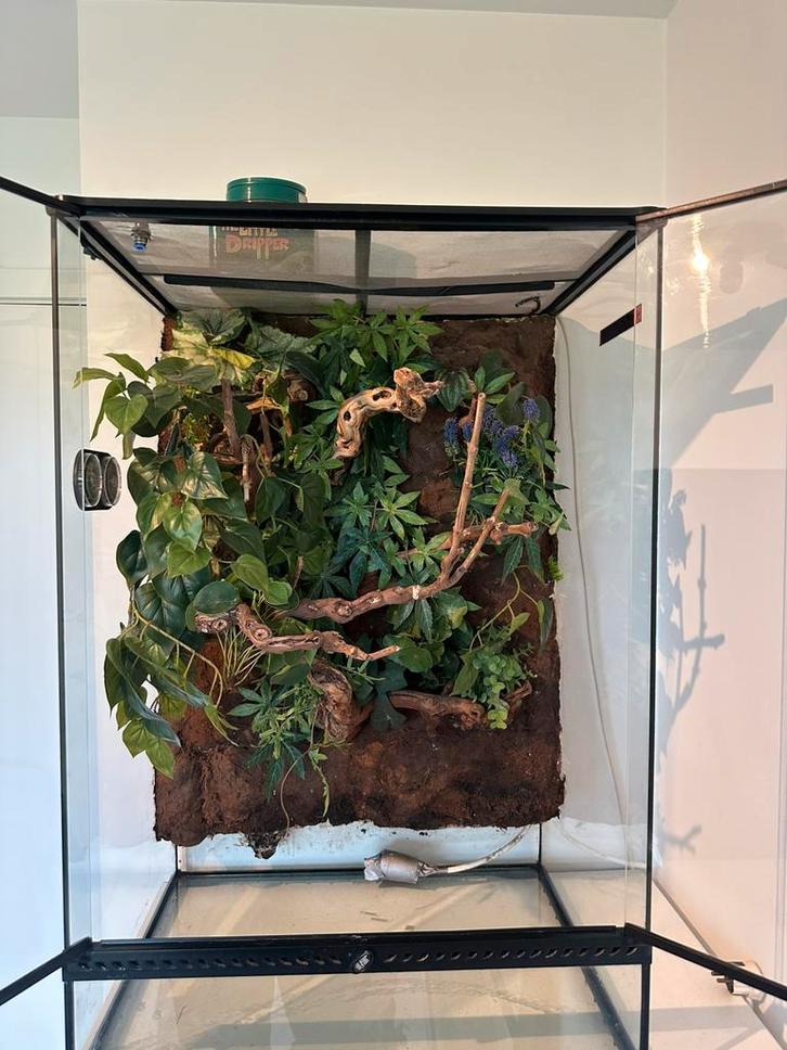 Terrarium 60x45x90, Animaux & Accessoires, Reptiles & Amphibiens | Accessoires, Utilisé, Terrarium ou Paludarium, Enlèvement