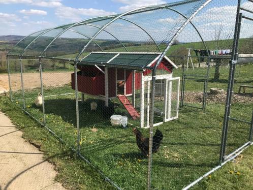 Poulailler 5x3x2m enclos 15m² parc grillagé chatière poule, Dieren en Toebehoren, Pluimvee | Toebehoren, Nieuw, Kippenhok of Kippenren