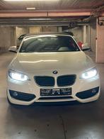 BMW 220i, Auto's, BMW, Automaat, Wit, Leder, Particulier
