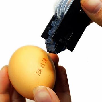 Eieren datum stempel met inktkussen beschikbaar voor biedingen