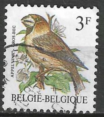 Belgie 1985 - Yvert 2186 /OBP 2189 - Buzin - Appelvink (ST) beschikbaar voor biedingen