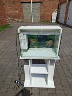 Leeg aquarium SuperFish home 60 met meubel.Zie mijn andere, Ophalen, Zo goed als nieuw, Leeg aquarium
