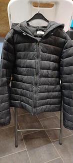 Korte damesjas, Kleding | Heren, Jassen | Zomer, Ophalen of Verzenden