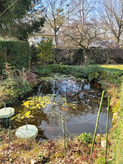 Volledige vijver zuiveringsinstallatie met pomp, filters ,.., Jardin & Terrasse, Étangs, Utilisé, Enlèvement