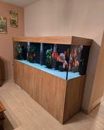 2 jaar oud aquarium, op maat gemaakt AQUALIFE met inhoud, Dieren en Toebehoren, Ophalen, Zo goed als nieuw, Gevuld zoetwateraquarium