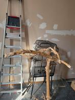 Arbre de java, Dieren en Toebehoren