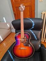 Reed Man RM70 sj, Muziek en Instrumenten, Snaarinstrumenten | Gitaren | Akoestisch, Ophalen, Gebruikt