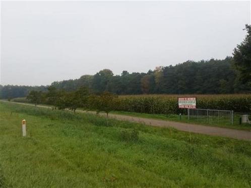 Grond te koop in Zandhoven, Immo, Terrains & Terrains à bâtir, 1500 m² ou plus