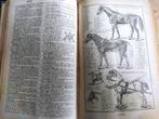vintage Petit Larousse(1959)+nouveau dictionnaire(1896)illus, Enlèvement ou Envoi