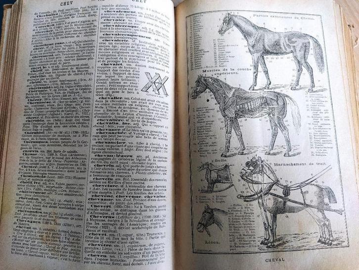 vintage Petit Larousse(1959)+nouveau dictionnaire(1896)illus, Antiquités & Art, Antiquités | Livres & Manuscrits, Enlèvement ou Envoi