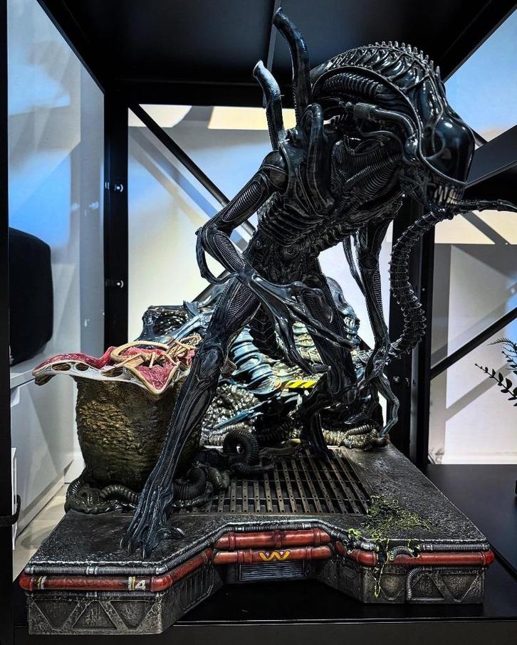 Alien Warrior - Prime 1 Studio, Verzamelen, Beelden en Beeldjes, Zo goed als nieuw, Overige typen, Ophalen