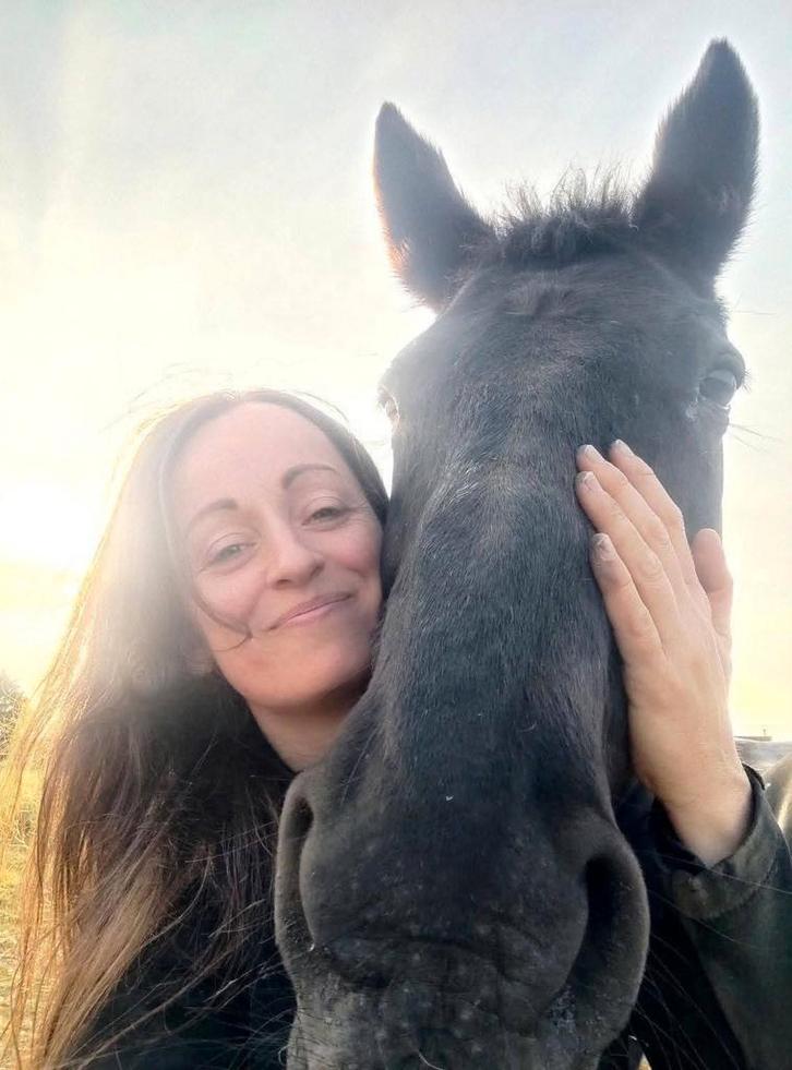 Betaalbare woonst met paarden aan huis, Immo, Op zoek naar een huis