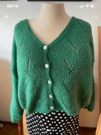 Vesteke groen, Kleding | Dames, Truien en Vesten, Maat 38/40 (M), Terra di Siena, Ophalen of Verzenden, Zo goed als nieuw