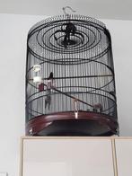 Cages indonésienne, Animaux & Accessoires, Oiseaux | Oiseaux Autre