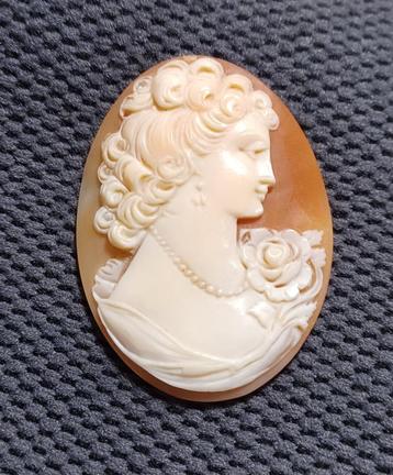 Gekrompen cameo beschikbaar voor biedingen