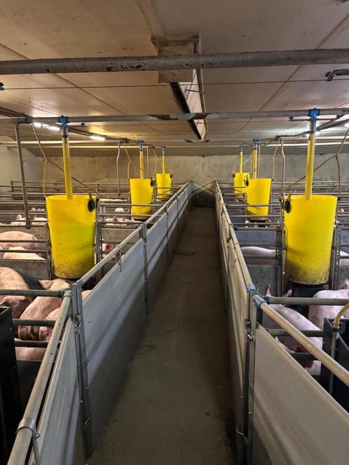 Kunststof hokinrichting vleesvarkens [437], Dieren en Toebehoren, Schapen, Geiten en Varkens
