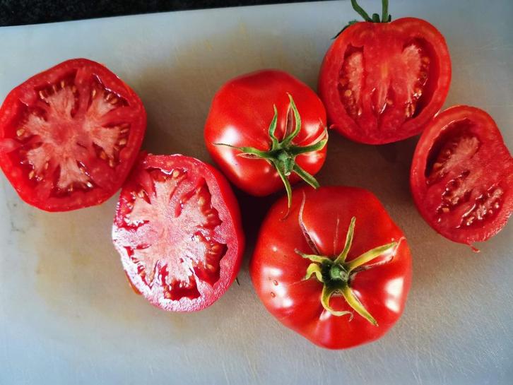 tomaat King of Giants - 5 zaden, Tuin en Terras, Bloembollen en Zaden, Zaad, Voorjaar, Verzenden