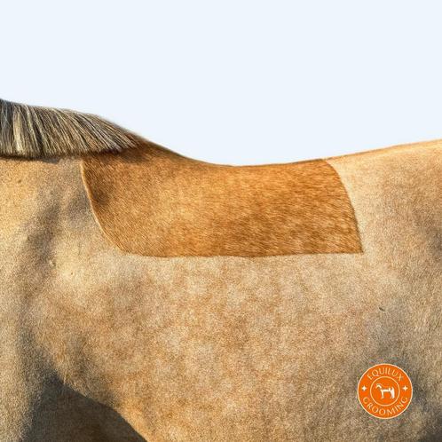 Scheren van paarden en pony’s, Dieren en Toebehoren, Paarden en Pony's | Beschermers, Ophalen of Verzenden