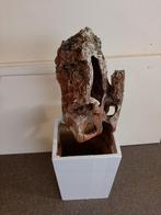 neprotsen terrarium, Dieren en Toebehoren, Reptielen en Amfibieën, Overige soorten, Met terrarium