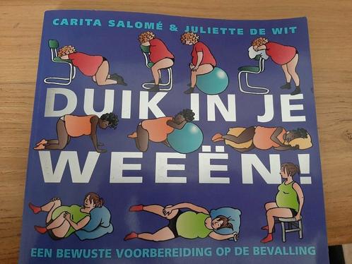 Carita Salome - Duik in je weeen, Livres, Grossesse & Éducation, Comme neuf, Enlèvement ou Envoi