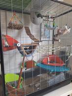 Savic Zeno 3 Empire knaagdierenkooi, Dieren en Toebehoren, Knaagdieren en Konijnen | Hokken en Kooien, Ophalen, Gebruikt, Kooi