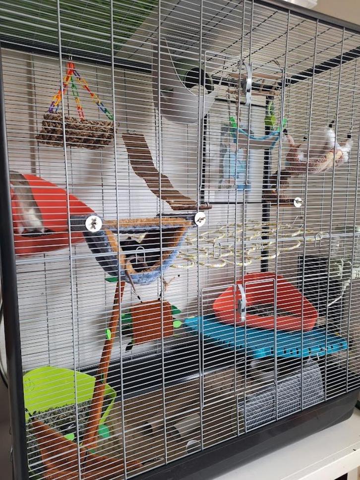 Savic Zeno 3 Empire knaagdierenkooi, Dieren en Toebehoren, Knaagdieren en Konijnen | Hokken en Kooien, Gebruikt, Kooi, Ophalen