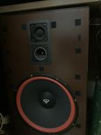 Cerwin vega hed 15, Audio, Tv en Foto, Luidsprekerboxen, Ophalen, Zo goed als nieuw