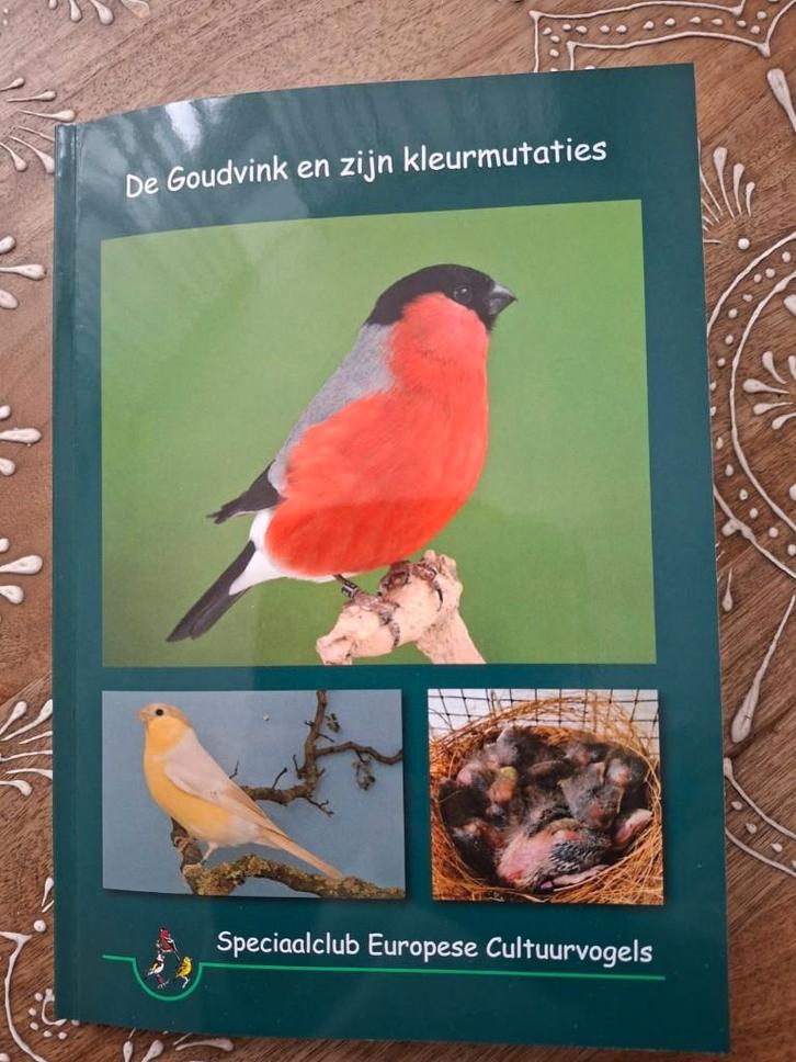 Kleine goudvinken, grote goudvinken, Dieren en Toebehoren, Vogels | Overige Vogels