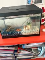 Niewe visbak te koop. Met aciswars in, Dieren en Toebehoren, Ophalen, Nieuw, Verlichting of Verwarming